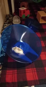 20221219_222517.webp