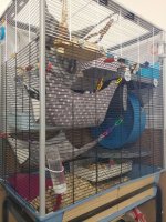 frankencage2_small.jpg