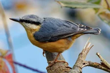 IMG_5972EOS 2022 DRDR -22.webp IMG_5972EOS 2022 DRDR -22.webp