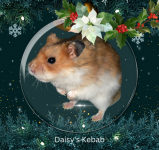 Daisy Kebab.png