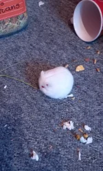 20221224_150206.webp 20221224_150206.webp