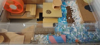 IMG_20221227_184122_HDR_copy_1710x769.webp IMG_20221227_184122_HDR_copy_1710x769.webp