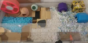 20221231_154606~2_copy_1581x785.webp 20221231_154606~2_copy_1581x785.webp