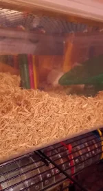 20230108_165758.webp 20230108_165758.webp