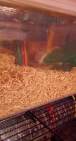 20230108_165758.jpg