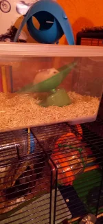 20230108_181845.webp 20230108_181845.webp