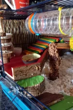 20230111_100402.webp