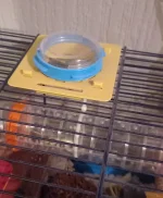 20230111_184524.webp