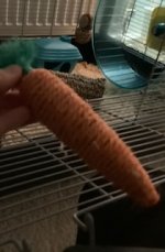 3D69748D-B81E-48F0-BE84-64489D34FAD9.jpeg