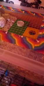 20230118_083055.jpg