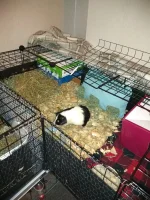 IMG_20201123_191039478.webp IMG_20201123_191039478.webp