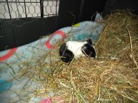 IMG_20201206_174121687.jpg
