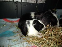 IMG_20201206_174327087.jpg
