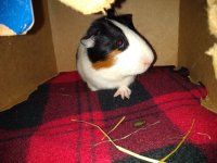 IMG_20201203_223146233.jpg