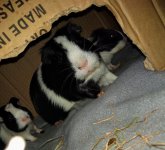 IMG_20201220_170456696.jpg