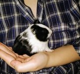 IMG_20201220_173719091.jpg