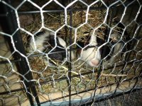 IMG_20201222_115117336.jpg