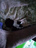 IMG_20201222_134739530.jpg