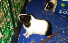 Screenshot_20210115-200842_2.png Screenshot_20210115-200842_2.png