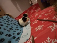 IMG_20210209_221826612.webp IMG_20210209_221826612.webp