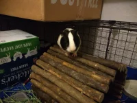 IMG_20210228_000723301.jpg IMG_20210228_000723301.jpg