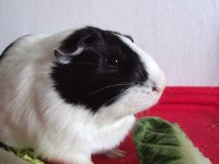 DSCF8160.JPG