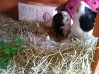 IMG_20210517_131542053.webp IMG_20210517_131542053.webp