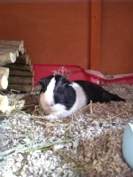 IMG_20210709_175315406.webp IMG_20210709_175315406.webp