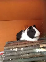 IMG_20210709_175333889.webp IMG_20210709_175333889.webp