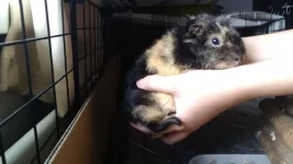 VID_20210828_115025942_exported_180166.webp VID_20210828_115025942_exported_180166.webp