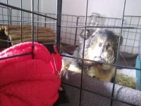 IMG_20211006_153107029.webp IMG_20211006_153107029.webp