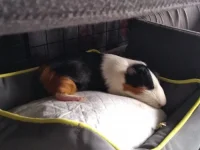 IMG_20211008_165404017.webp IMG_20211008_165404017.webp