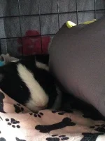 IMG_20211008_165334846.webp IMG_20211008_165334846.webp