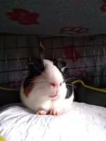 IMG_20211008_164658245.webp IMG_20211008_164658245.webp