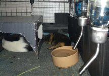 IMG_20220111_203603408.jpg