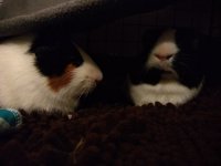 IMG_20220201_234622575.jpg