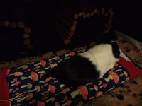 IMG_20220206_010633323.jpg