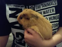 IMG_20220217_183300255.webp IMG_20220217_183300255.webp