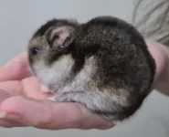 20230125_145909.jpg 20230125_145909.jpg