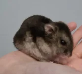 20230125_145921.jpg 20230125_145921.jpg