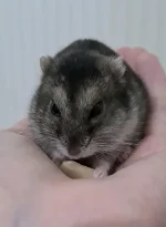 VideoCapture_20230126-003844.webp VideoCapture_20230126-003844.webp