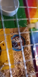 20230131_092147.webp