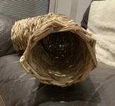 25AEA511-A665-46B9-812A-3BB9F0A45D87.jpeg 25AEA511-A665-46B9-812A-3BB9F0A45D87.jpeg