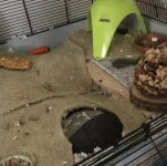 Nugget new set up (2) resized.jpg