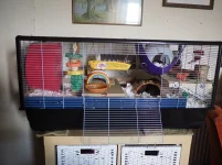 P4231379 resized 650.webp P4231379 resized 650.webp