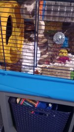 20230222_074058.jpg