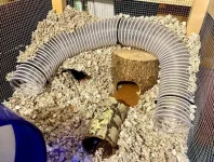 image_2023-02-25_104254234.webp image_2023-02-25_104254234.webp