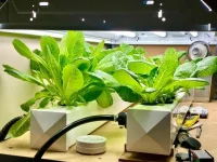 image_2023-02-25_104331701.webp image_2023-02-25_104331701.webp