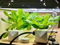 image_2023-02-25_104331701.png
