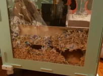 Wally's tunnel.webp